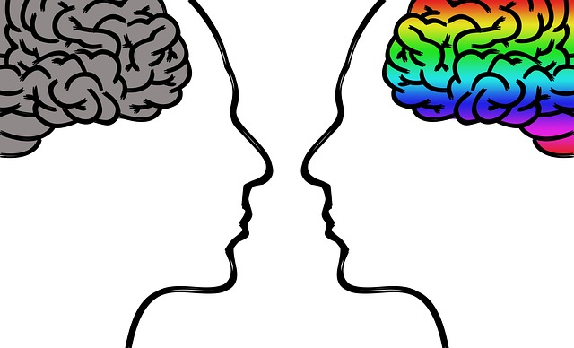 brain